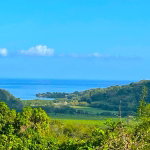 First image of Rothsey Cove Harding Hall in Green Island, Hanover, Jamaica - property is For Rent