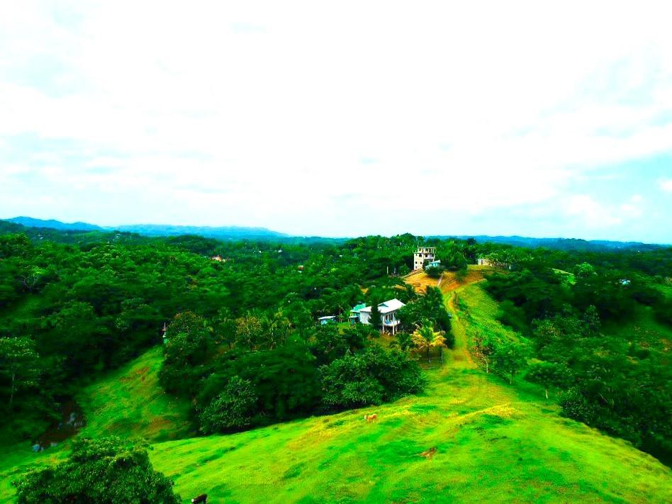 Seventeenth image of Rothsey Cove Harding Hall in Green Island, Hanover, Jamaica - property is For Rent
