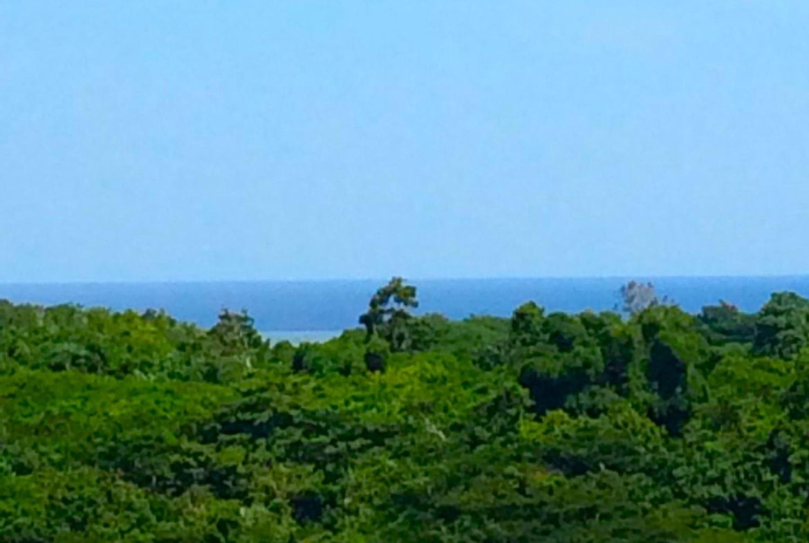 Eighteenth image of Rothsey Cove Harding Hall in Green Island, Hanover, Jamaica - property is For Rent