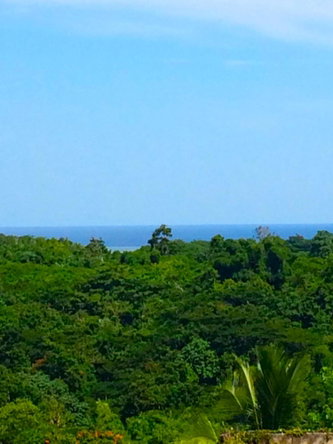 Eighteenth image of Rothsey Cove Harding Hall in Green Island, Hanover, Jamaica - property is For Rent