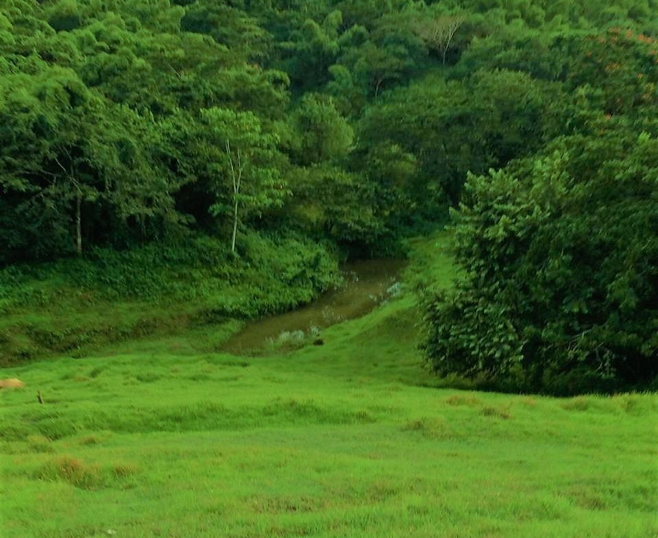 Twenty-Second image of Rothsey Cove Harding Hall in Green Island, Hanover, Jamaica - property is For Rent