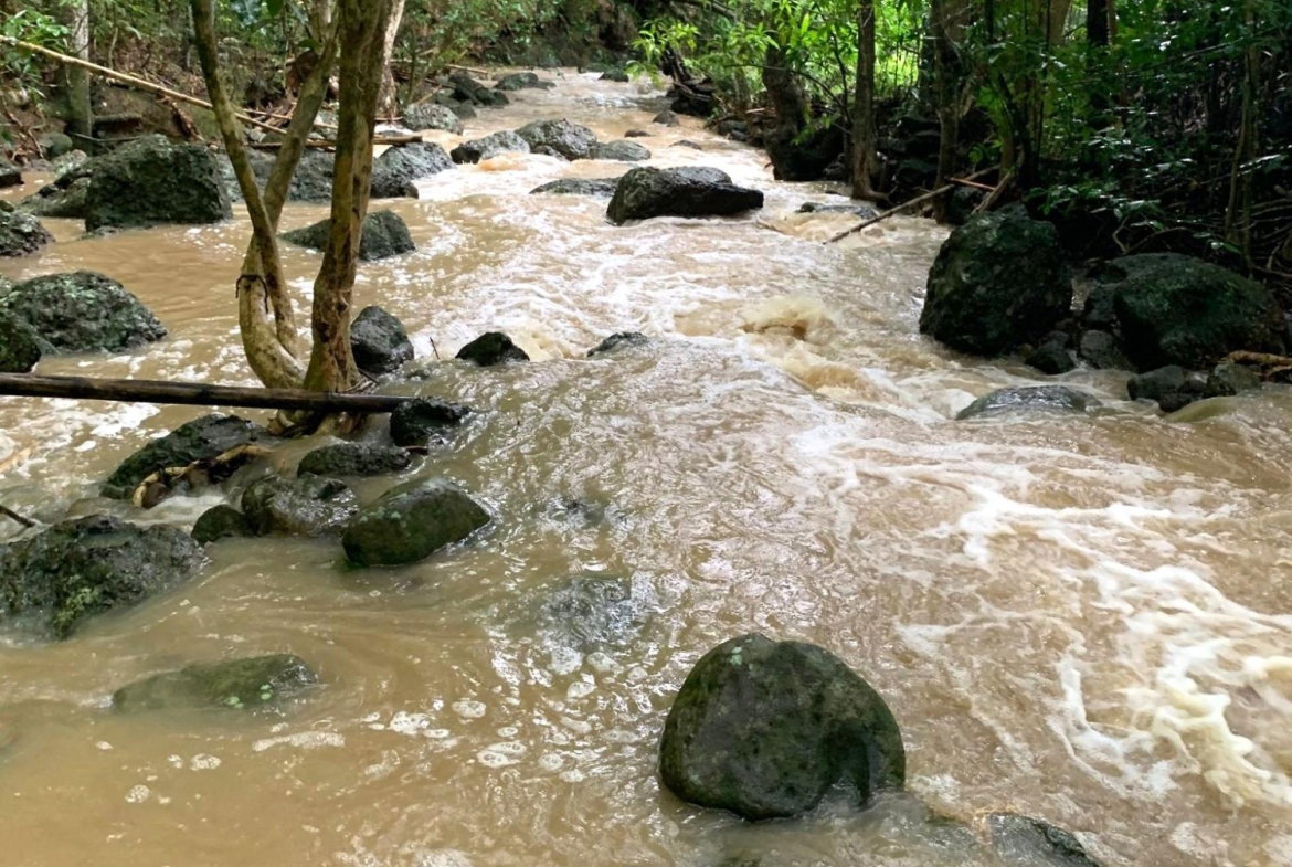 Fifth image of Rothsey Cove Harding Hall in Green Island, Hanover, Jamaica - property is For Rent