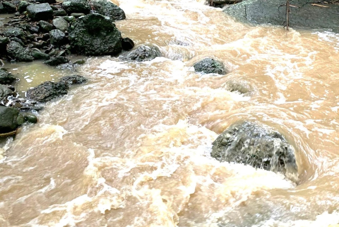 Sixth image of Rothsey Cove Harding Hall in Green Island, Hanover, Jamaica - property is For Rent