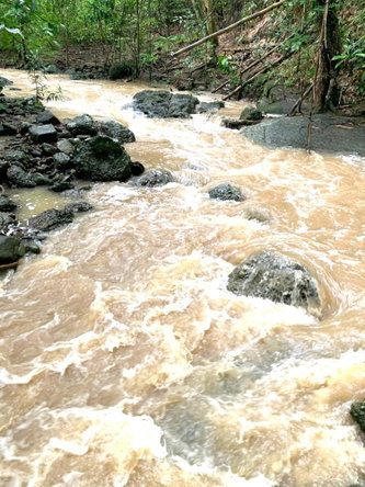 Sixth image of Rothsey Cove Harding Hall in Green Island, Hanover, Jamaica - property is For Rent