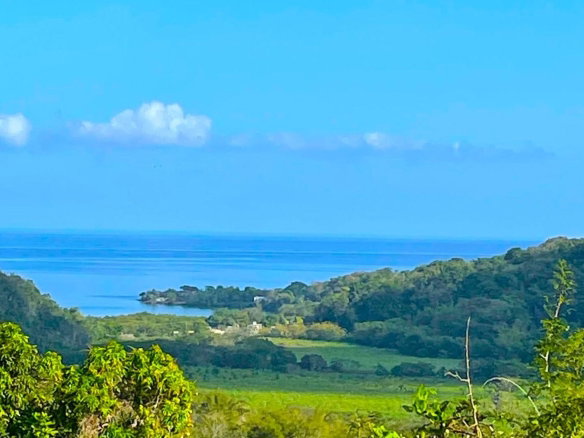 First image of Rothsey Cove Harding Hall in Green Island, Hanover, Jamaica - property is For Rent