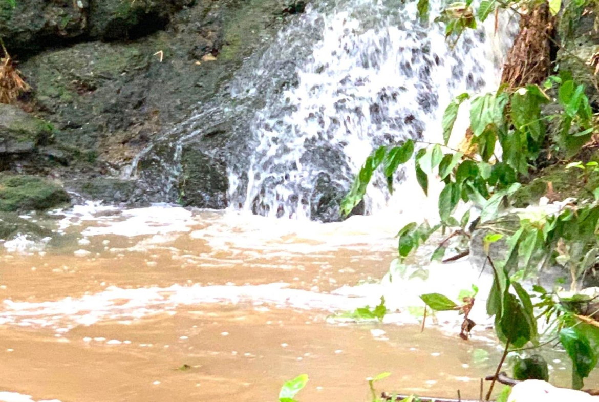 Eighth image of Rothsey Cove Harding Hall in Green Island, Hanover, Jamaica - property is For Rent