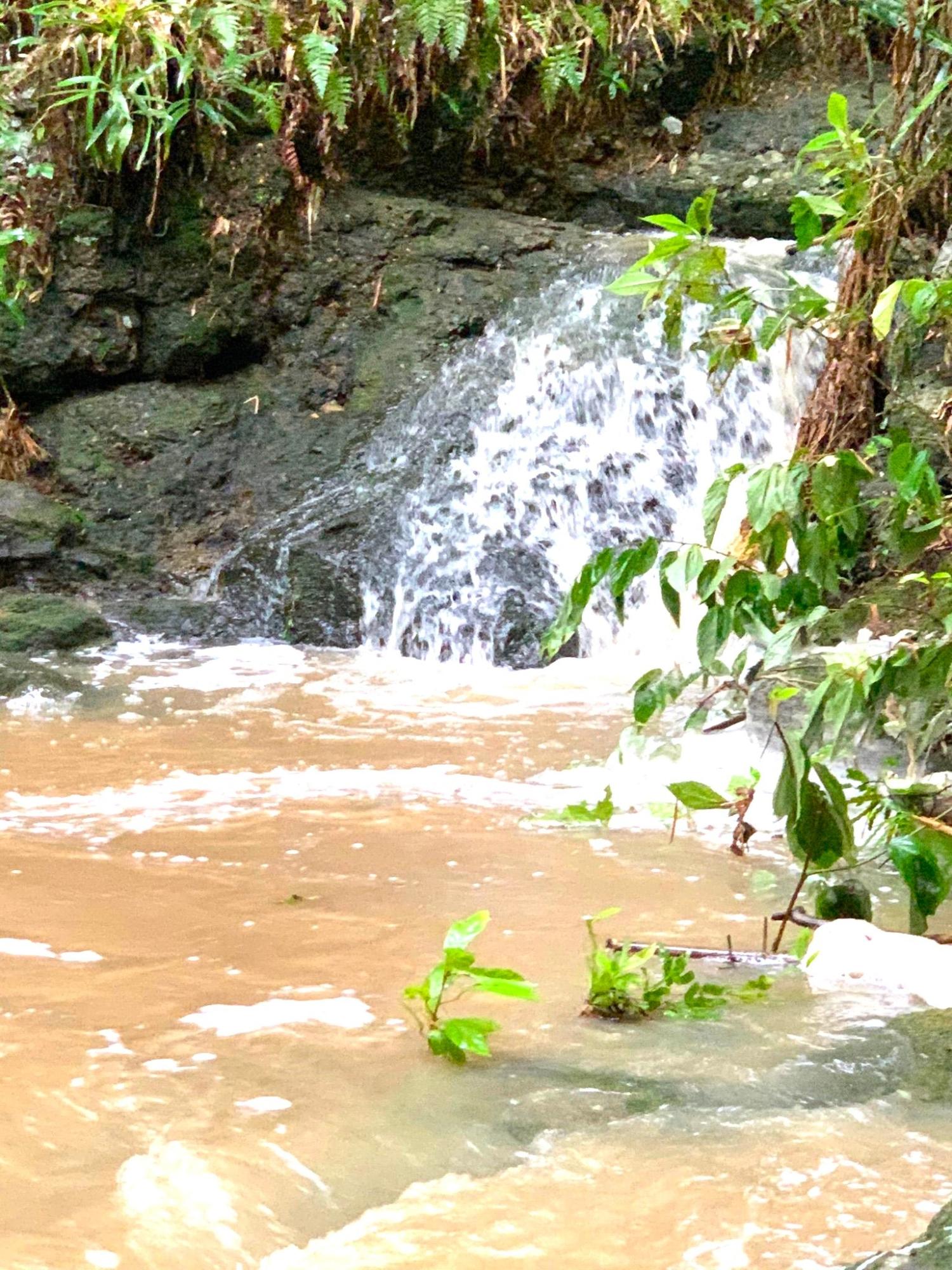 Eighth image of Rothsey Cove Harding Hall in Green Island, Hanover, Jamaica - property is For Rent
