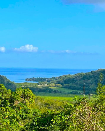 First image of Rothsey Cove Harding Hall in Green Island, Hanover, Jamaica - property is For Rent