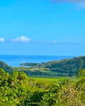 First image of Rothsey Cove Harding Hall in Green Island, Hanover, Jamaica - property is For Rent