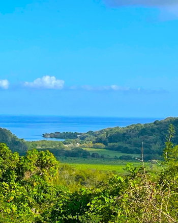 First image of Rothsey Cove Harding Hall in Green Island, Hanover, Jamaica - property is For Rent