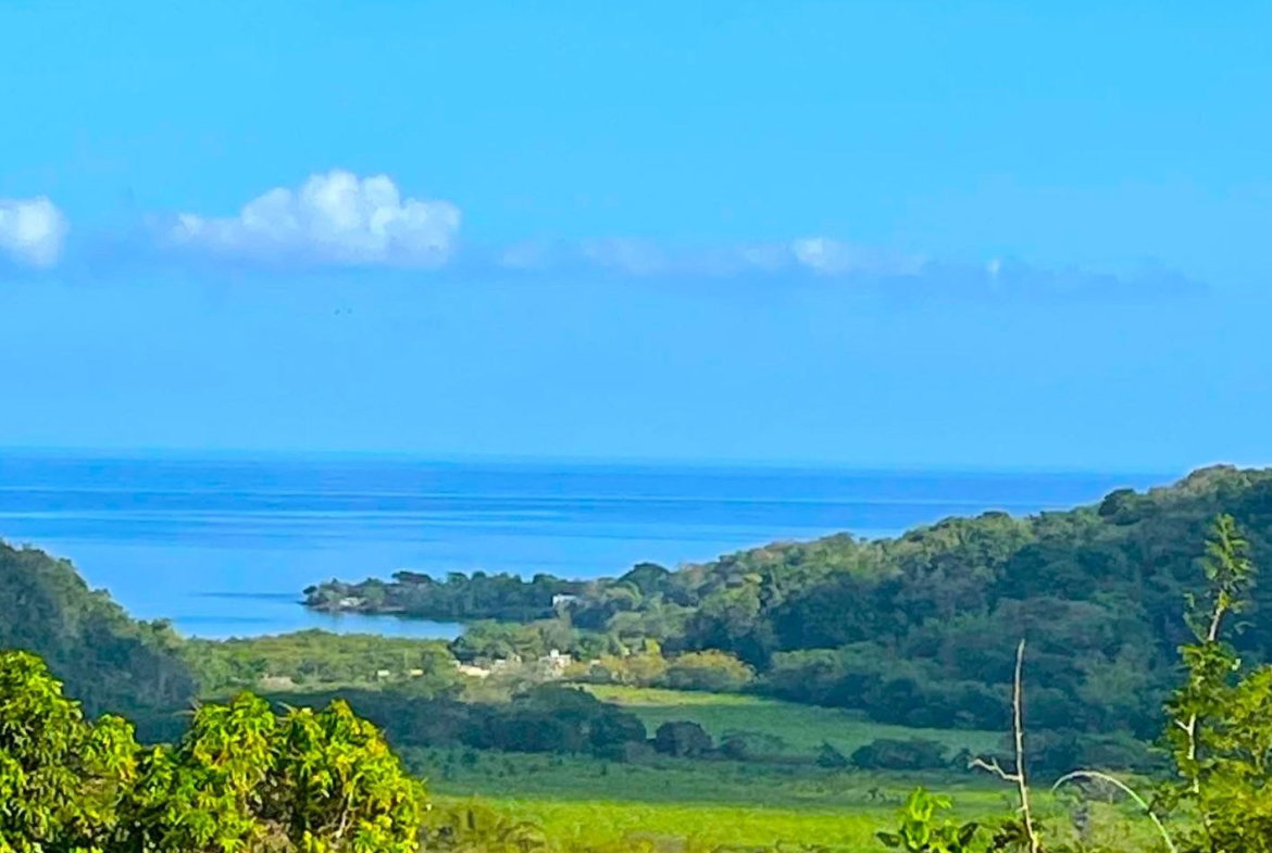 Second image of Rothsey Cove Harding Hall in Green Island, Hanover, Jamaica - property is For Sale