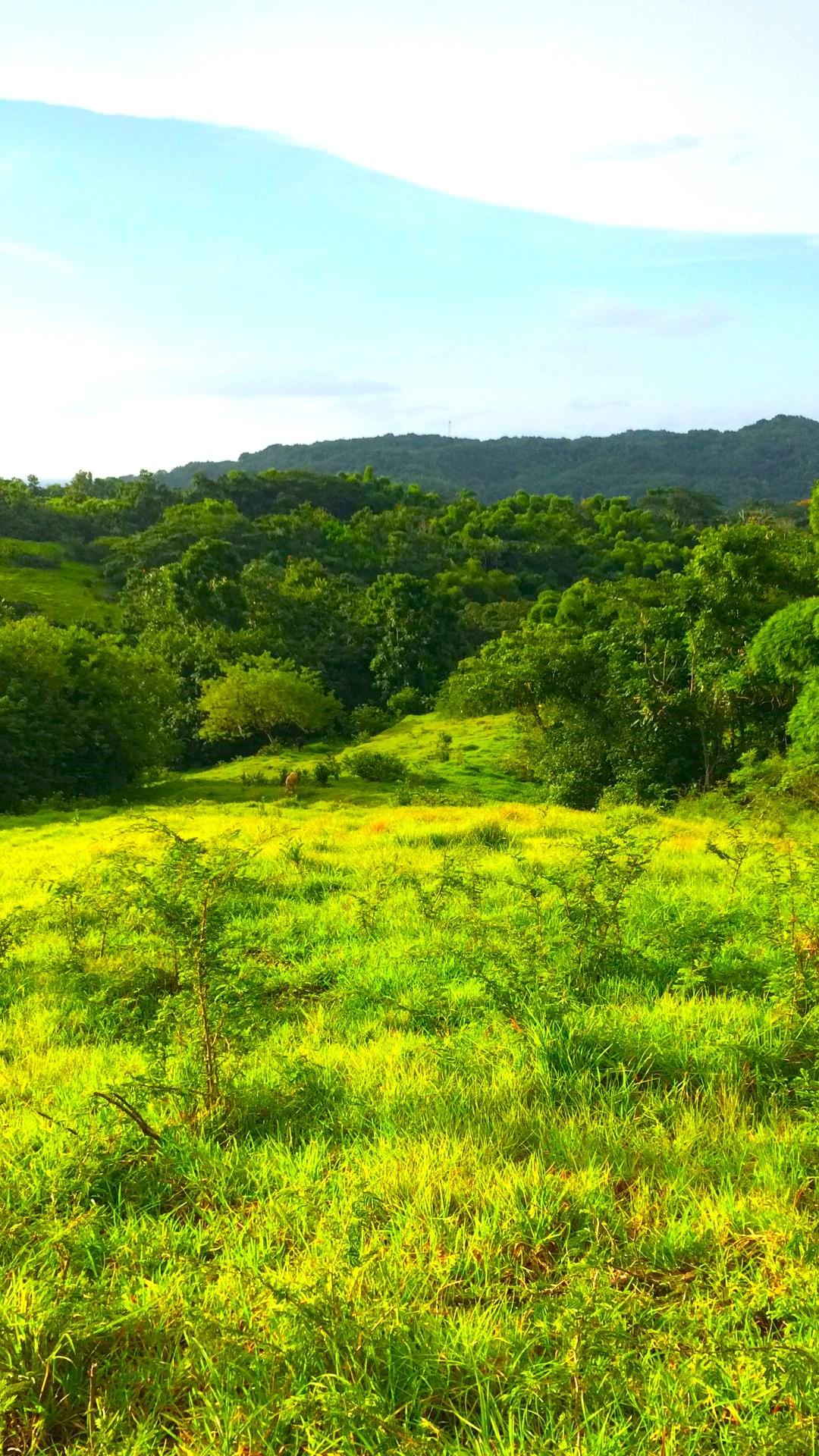 Fourteenth image of Rothsey Cove Harding Hall in Green Island, Hanover, Jamaica - property is For Sale