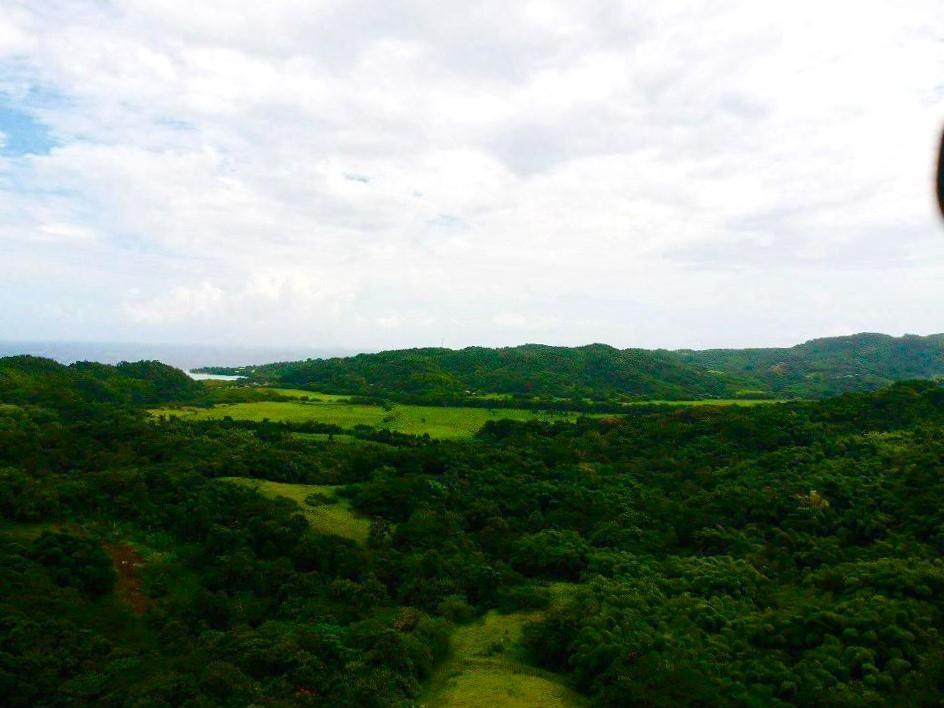 Fifteenth image of Rothsey Cove Harding Hall in Green Island, Hanover, Jamaica - property is For Sale