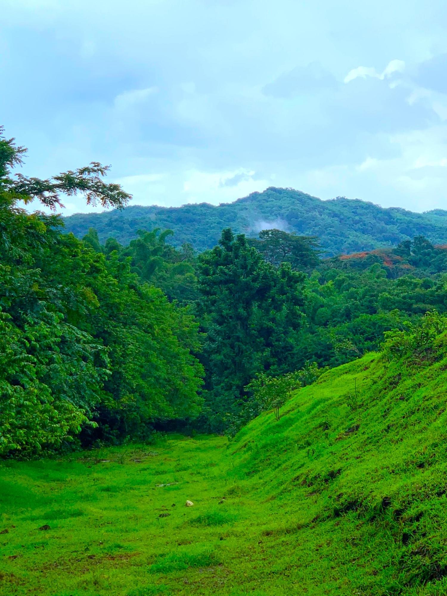 Sixteenth image of Rothsey Cove Harding Hall in Green Island, Hanover, Jamaica - property is For Sale
