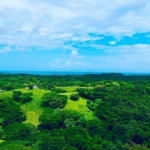First image of Rothsey Cove Harding Hall in Green Island, Hanover, Jamaica - property is For Sale
