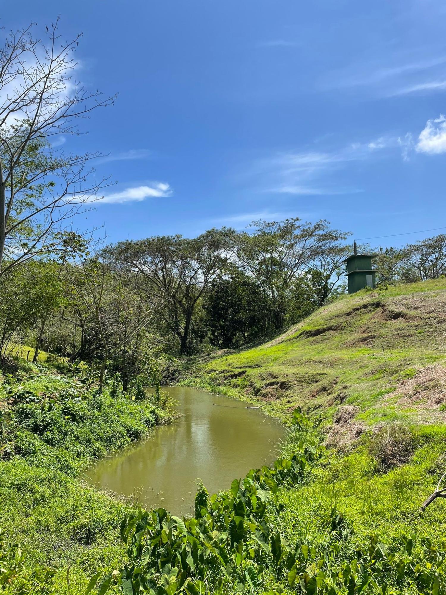 Twenty-First image of Rothsey Cove Harding Hall in Green Island, Hanover, Jamaica - property is For Sale
