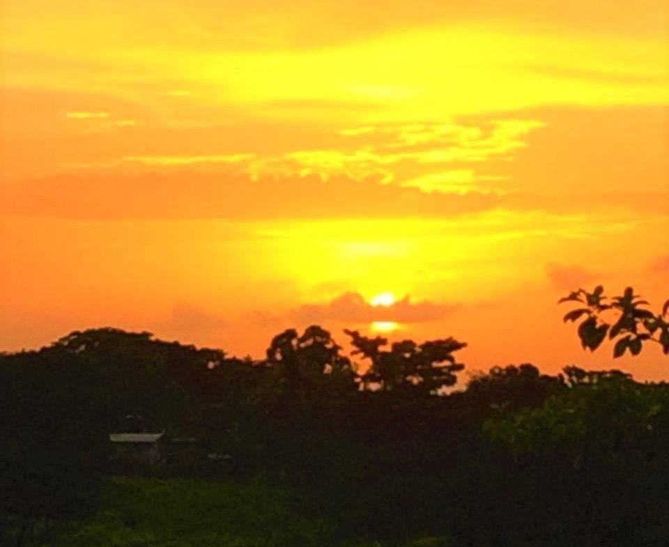 Twenty-Third image of Rothsey Cove Harding Hall in Green Island, Hanover, Jamaica - property is For Sale