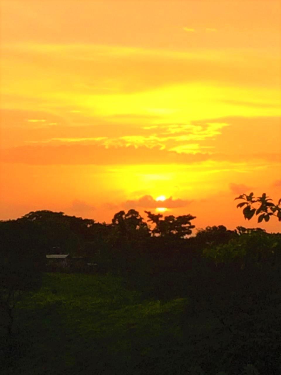 Twenty-Third image of Rothsey Cove Harding Hall in Green Island, Hanover, Jamaica - property is For Sale