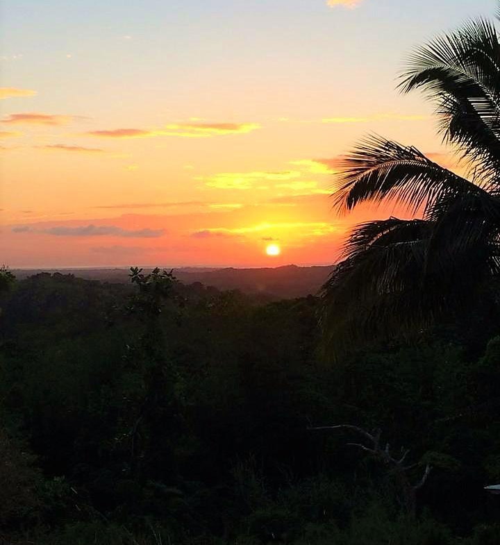 Twenty-Fourth image of Rothsey Cove Harding Hall in Green Island, Hanover, Jamaica - property is For Sale