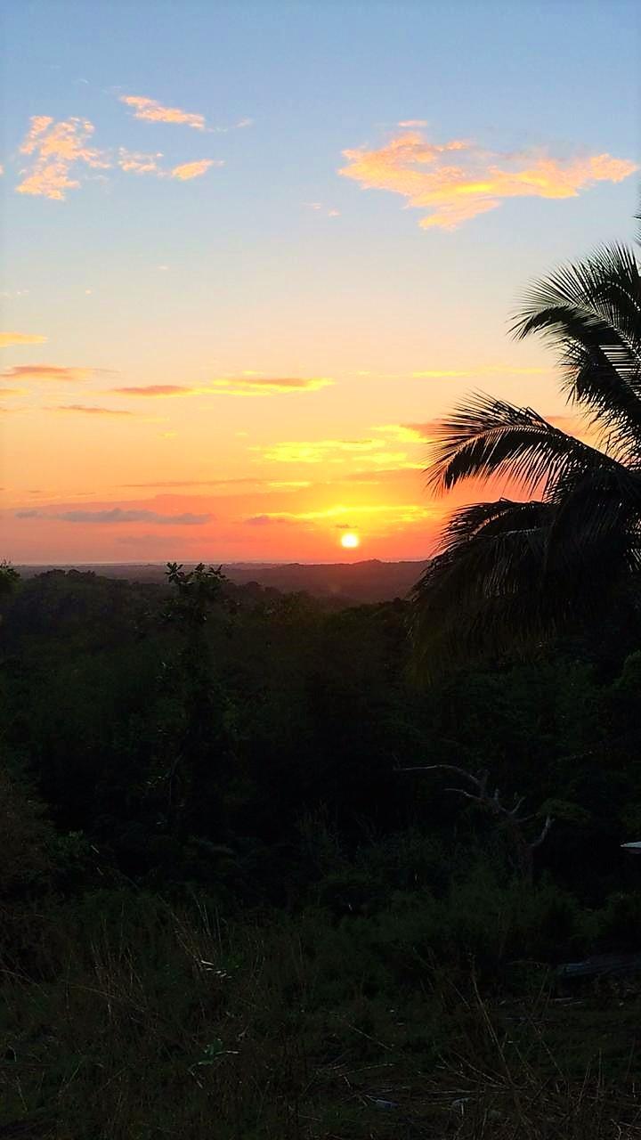 Twenty-Fourth image of Rothsey Cove Harding Hall in Green Island, Hanover, Jamaica - property is For Sale