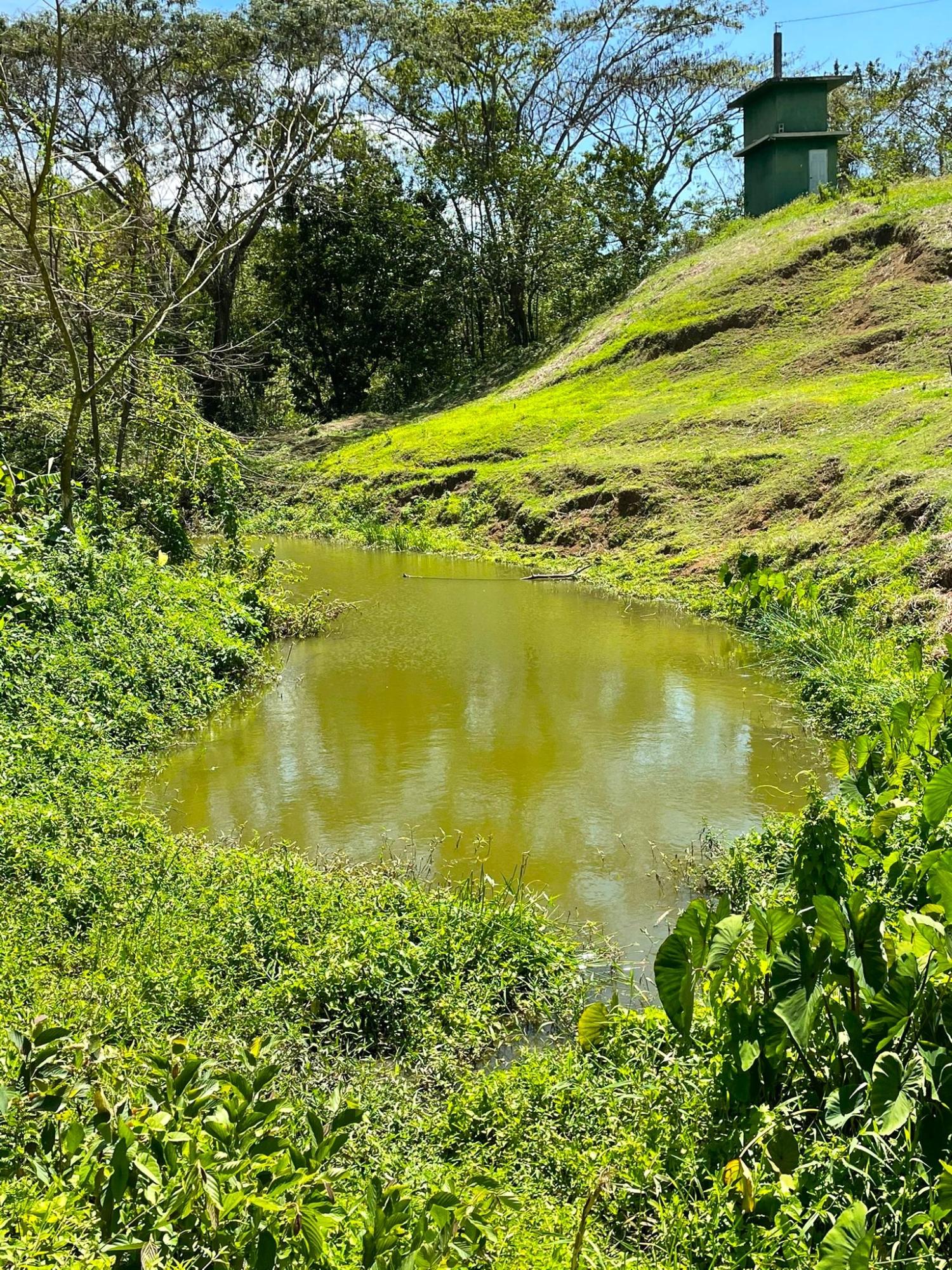 Fourth image of Rothsey Cove Harding Hall in Green Island, Hanover, Jamaica - property is For Sale