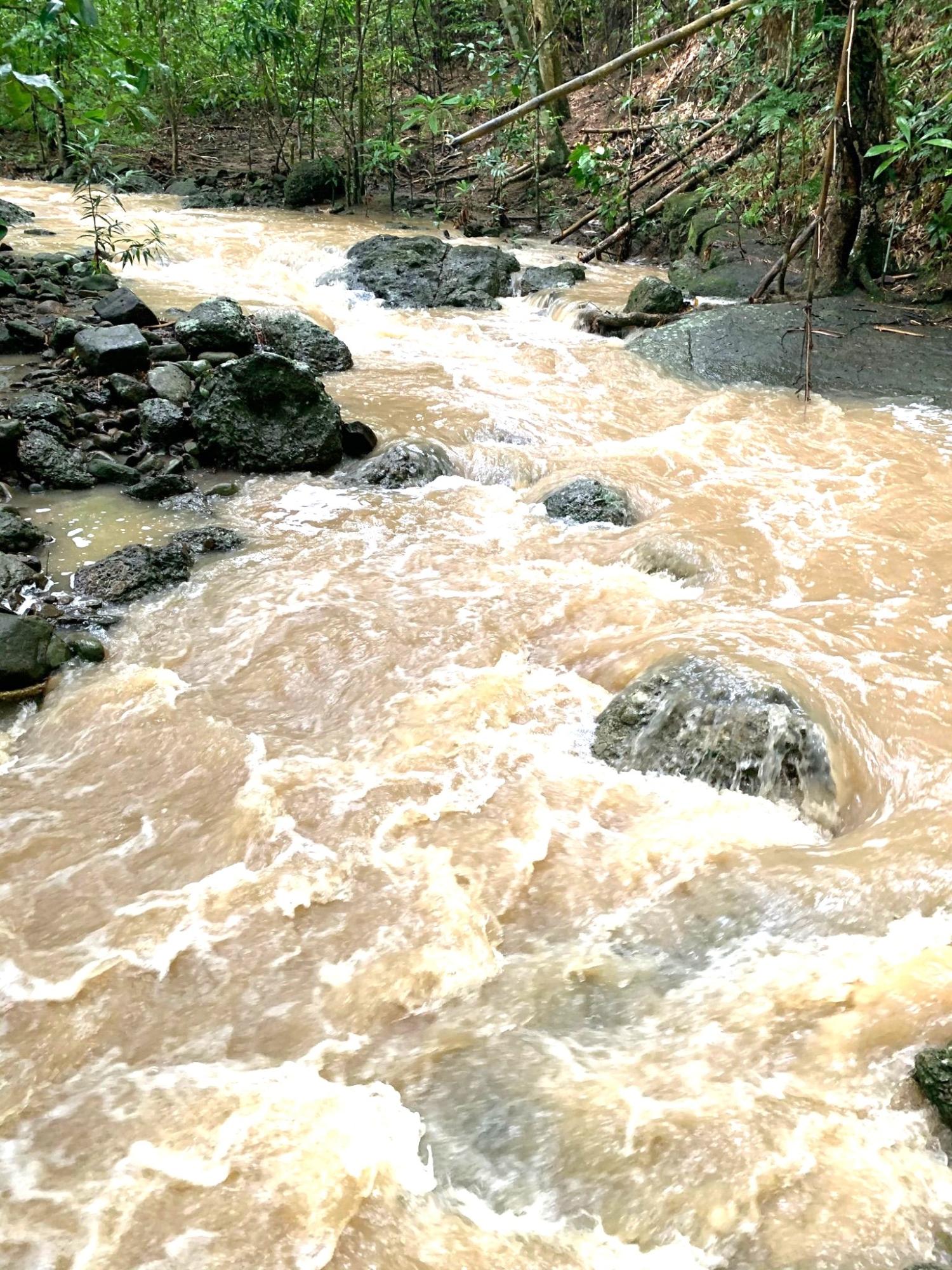 Sixth image of Rothsey Cove Harding Hall in Green Island, Hanover, Jamaica - property is For Sale
