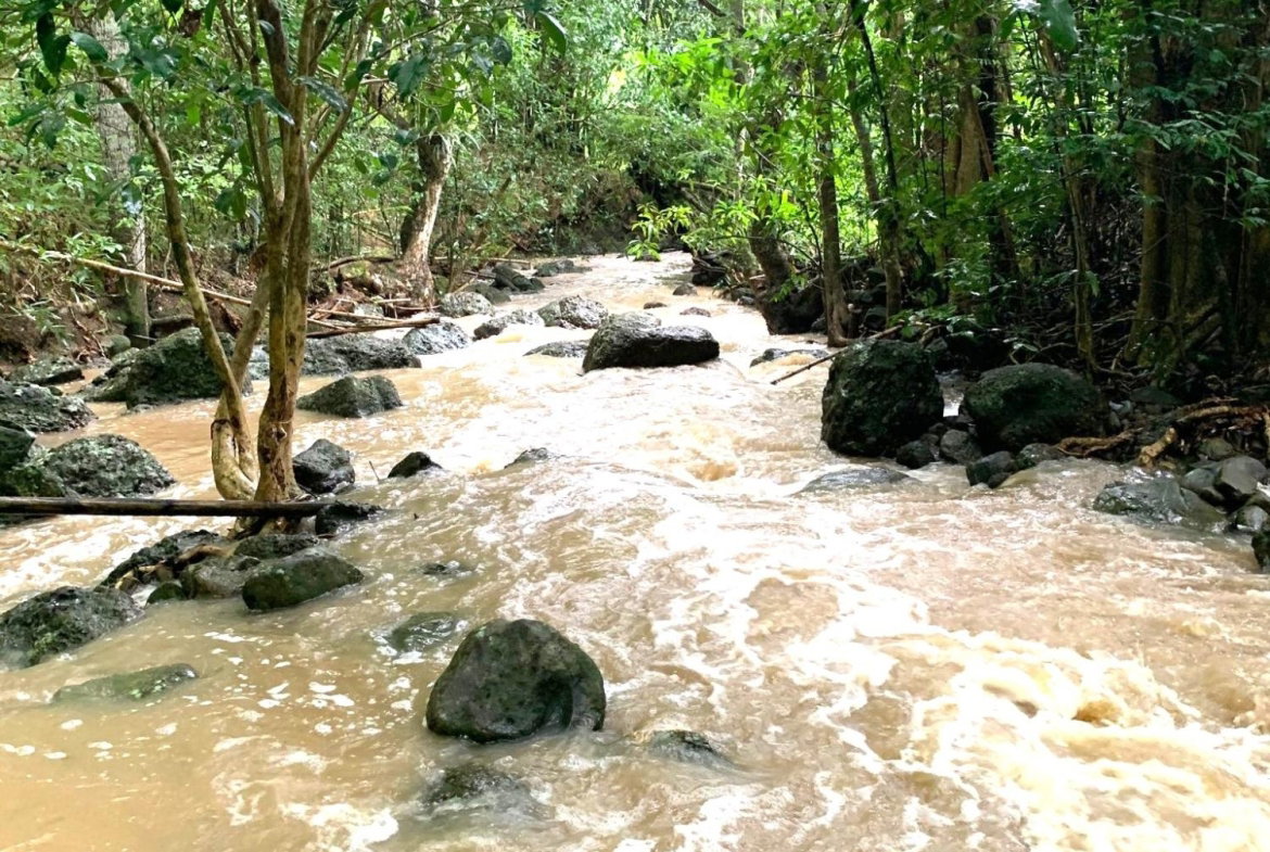 Seventh image of Rothsey Cove Harding Hall in Green Island, Hanover, Jamaica - property is For Sale