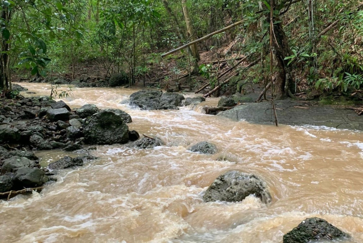 Tenth image of Rothsey Cove Harding Hall in Green Island, Hanover, Jamaica - property is For Sale