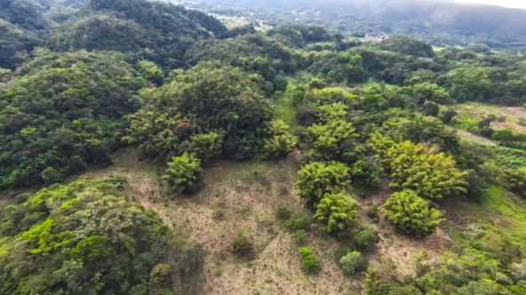 Second image of 41 Greenock in Cave Valey, St. Ann, Jamaica - property is For Sale