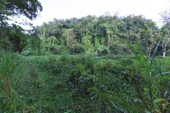 Eleventh image of 41 Greenock in Cave Valey, St. Ann, Jamaica - property is For Sale