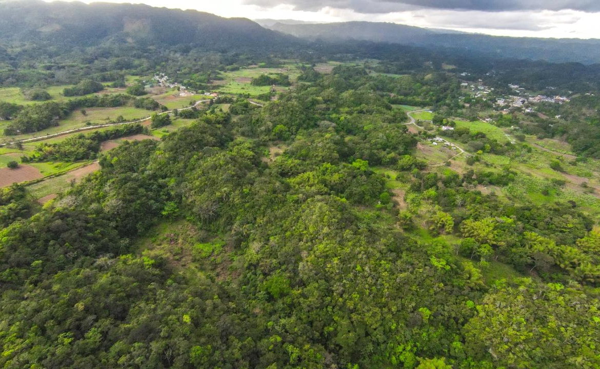 Twelfth image of 41 Greenock in Cave Valey, St. Ann, Jamaica - property is For Sale