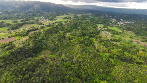 Twelfth image of 41 Greenock in Cave Valey, St. Ann, Jamaica - property is For Sale
