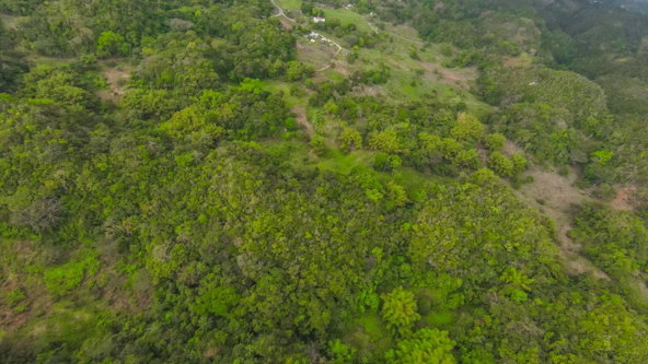Thirteenth image of 41 Greenock in Cave Valey, St. Ann, Jamaica - property is For Sale