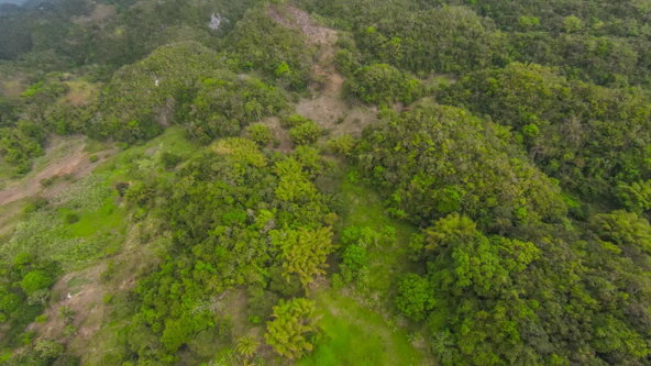 Fourteenth image of 41 Greenock in Cave Valey, St. Ann, Jamaica - property is For Sale