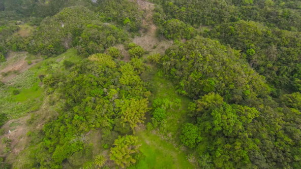 Sixteenth image of 41 Greenock in Cave Valey, St. Ann, Jamaica - property is For Sale