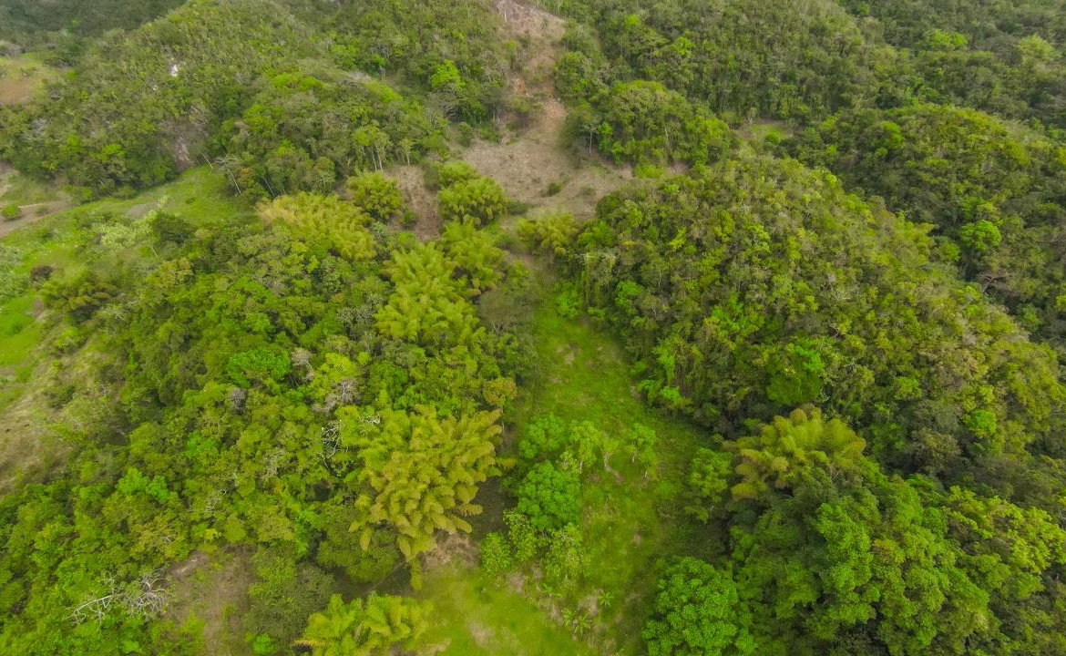 Seventeenth image of 41 Greenock in Cave Valey, St. Ann, Jamaica - property is For Sale