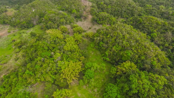 Seventeenth image of 41 Greenock in Cave Valey, St. Ann, Jamaica - property is For Sale