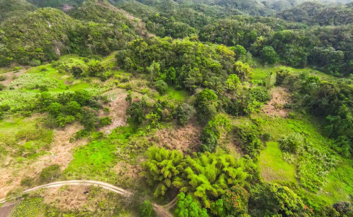 Eighteenth image of 41 Greenock in Cave Valey, St. Ann, Jamaica - property is For Sale