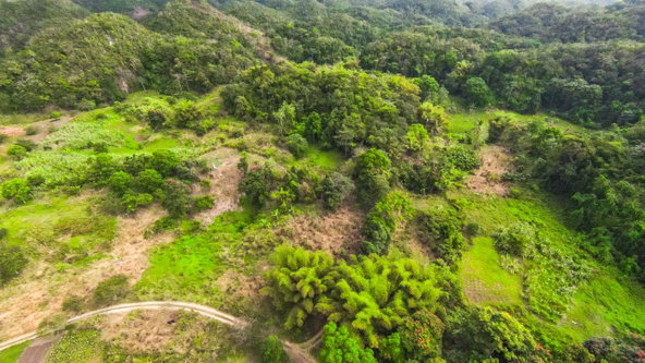 Eighteenth image of 41 Greenock in Cave Valey, St. Ann, Jamaica - property is For Sale