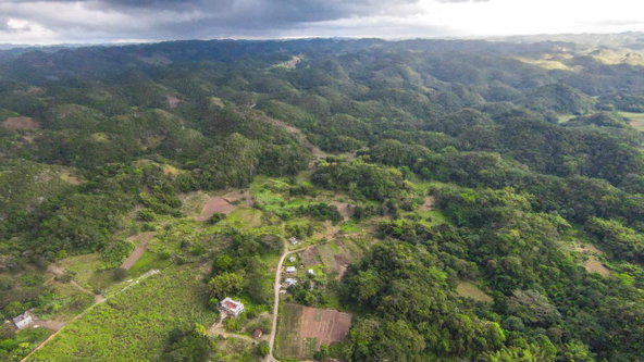 Twentieth image of 41 Greenock in Cave Valey, St. Ann, Jamaica - property is For Sale