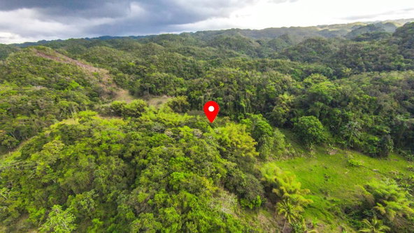 Third image of 41 Greenock in Cave Valey, St. Ann, Jamaica - property is For Sale