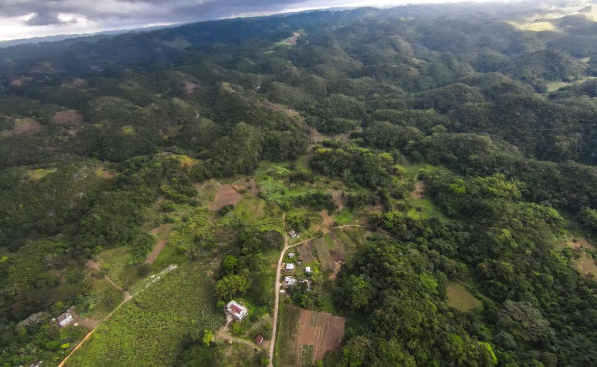Twenty-Second image of 41 Greenock in Cave Valey, St. Ann, Jamaica - property is For Sale