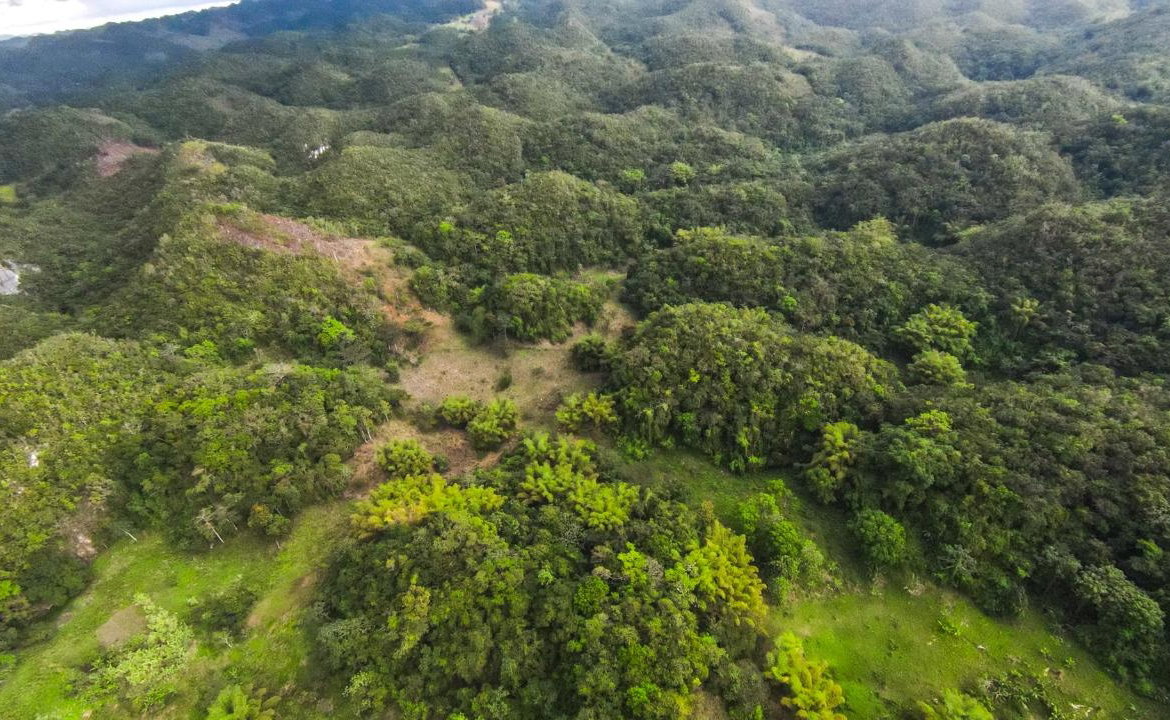Twenty-Third image of 41 Greenock in Cave Valey, St. Ann, Jamaica - property is For Sale