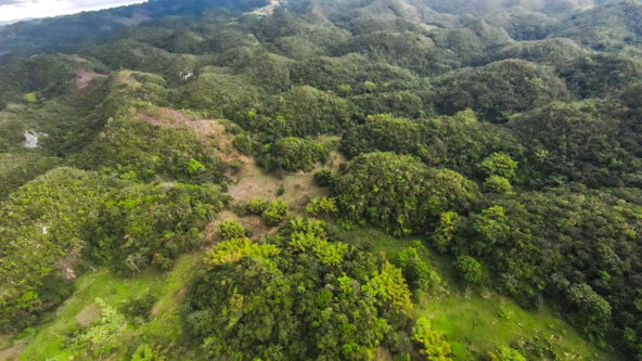 Twenty-Third image of 41 Greenock in Cave Valey, St. Ann, Jamaica - property is For Sale