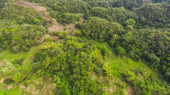 Twenty-Fourth image of 41 Greenock in Cave Valey, St. Ann, Jamaica - property is For Sale