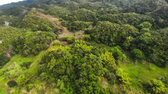Twenty-Fifth image of 41 Greenock in Cave Valey, St. Ann, Jamaica - property is For Sale