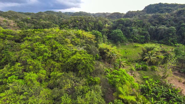 Twenty-Sixth image of 41 Greenock in Cave Valey, St. Ann, Jamaica - property is For Sale