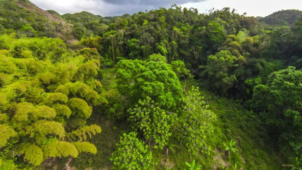 Fifth image of 41 Greenock in Cave Valey, St. Ann, Jamaica - property is For Sale