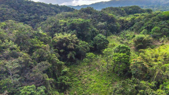 Sixth image of 41 Greenock in Cave Valey, St. Ann, Jamaica - property is For Sale
