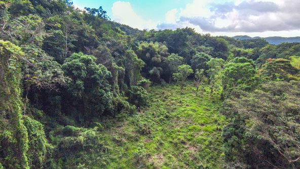 Seventh image of 41 Greenock in Cave Valey, St. Ann, Jamaica - property is For Sale